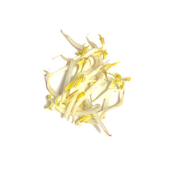 Bean Sprout 500g