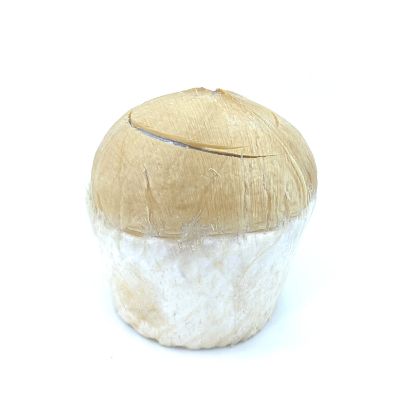 Coconut Open Top (Piece)