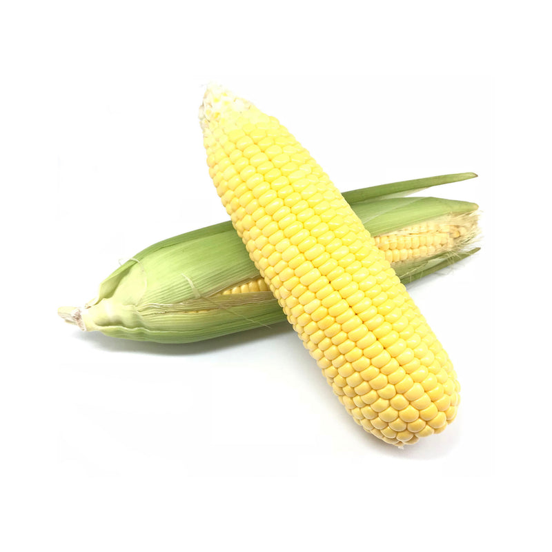 Corn 2pcs